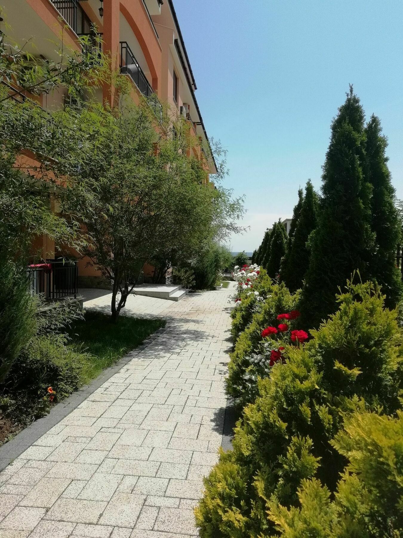 Stardreams Apartments Sveti Vlas Exterior foto